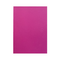 Fuchsia Notebook