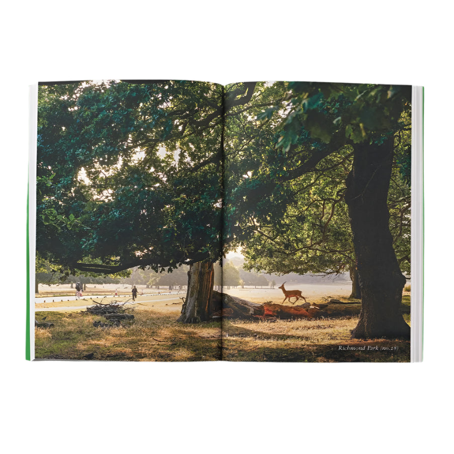 An Opinionated Guide to London Green Spaces