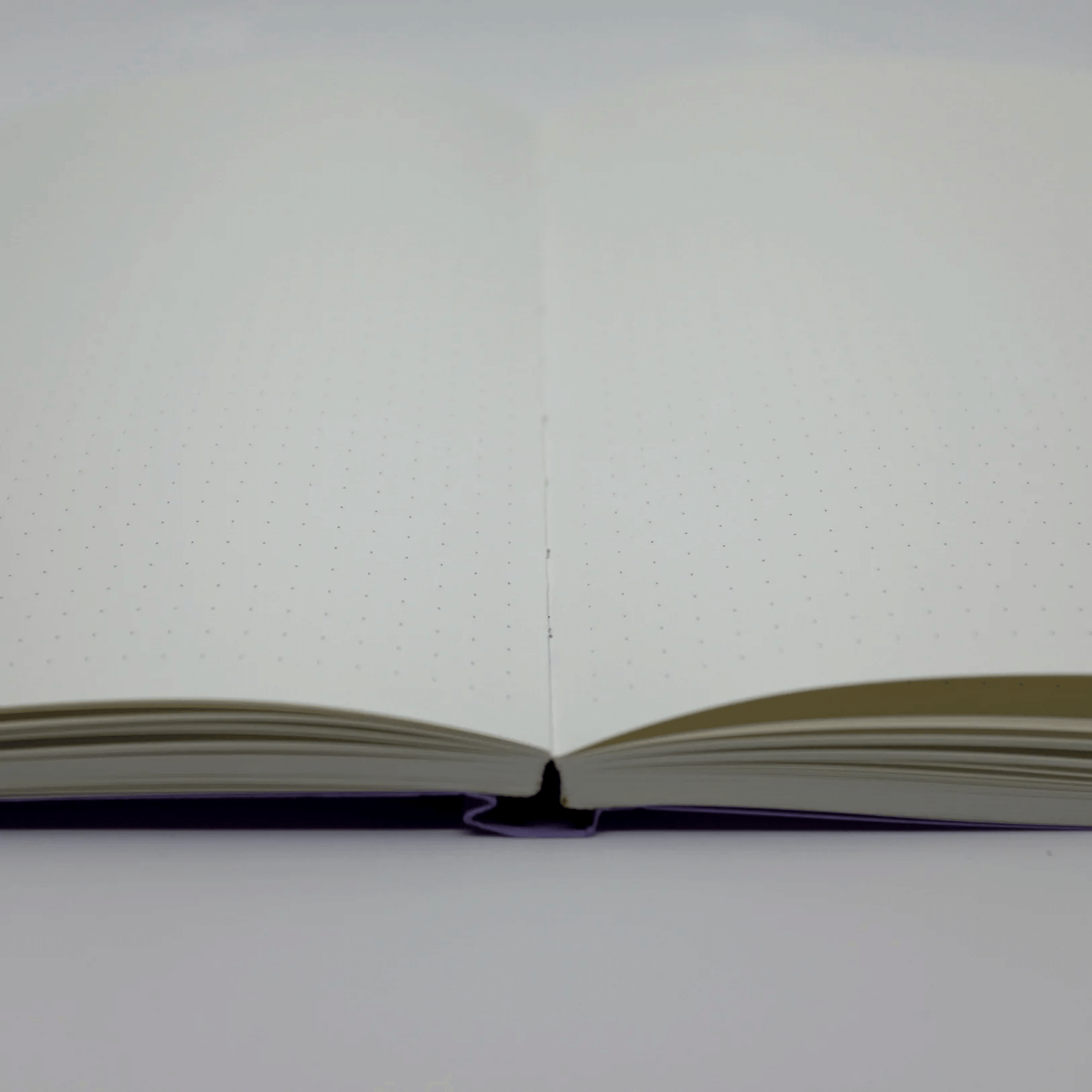 Limoncello Notebook