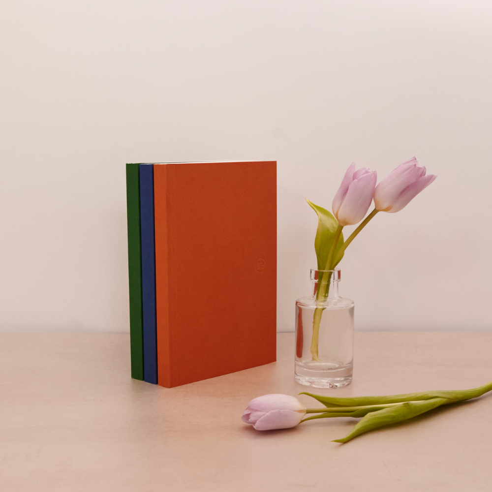 Paperback Trio Notebook Set - Classic