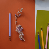 Pretty Ballpoint Pens