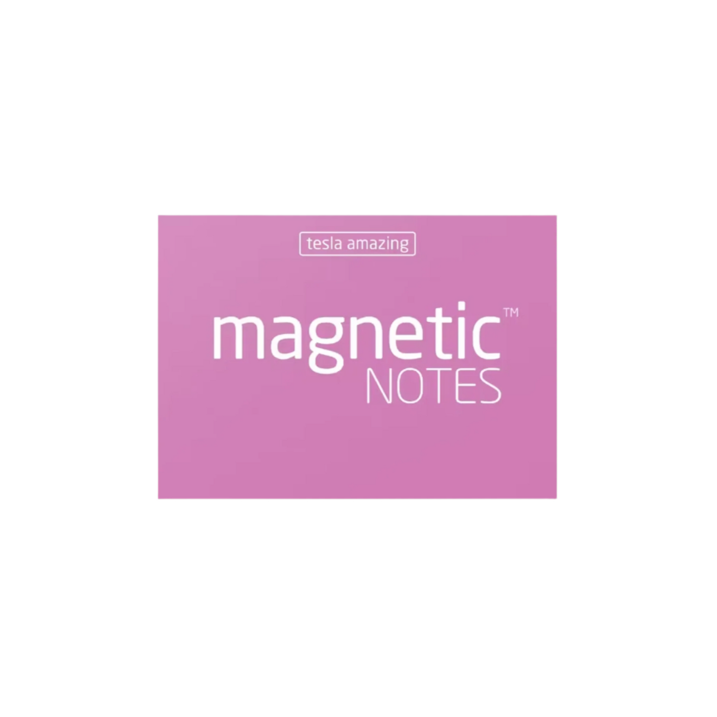 Small Magnetic Sticky Notes in Pink