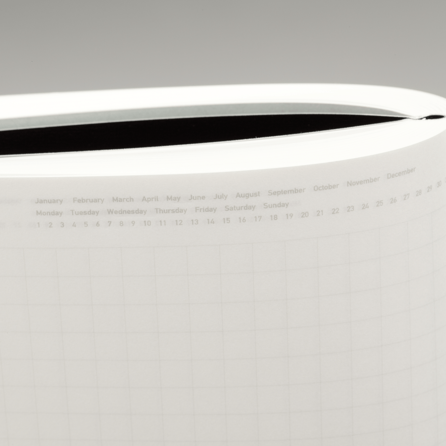 Stalogy notebook spine