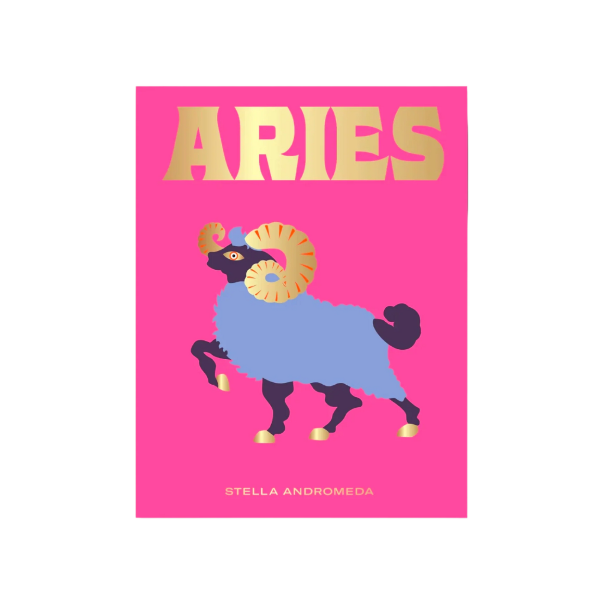 Seeing Stars Zodiac Book