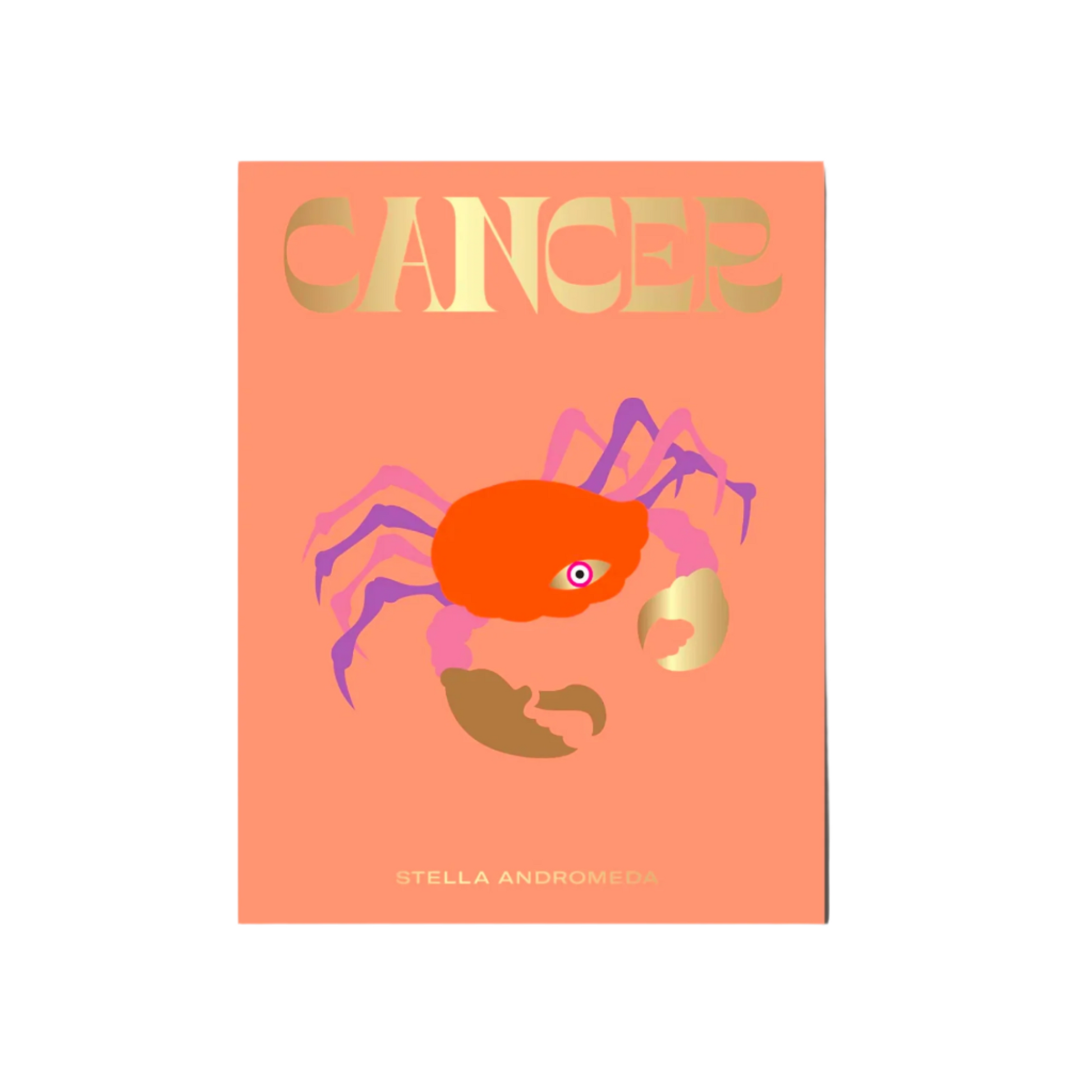 Seeing Stars Zodiac Book