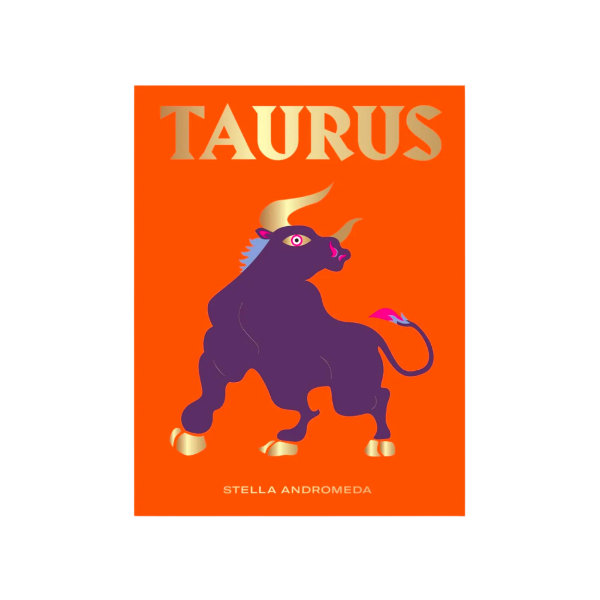 Seeing Stars Zodiac Book